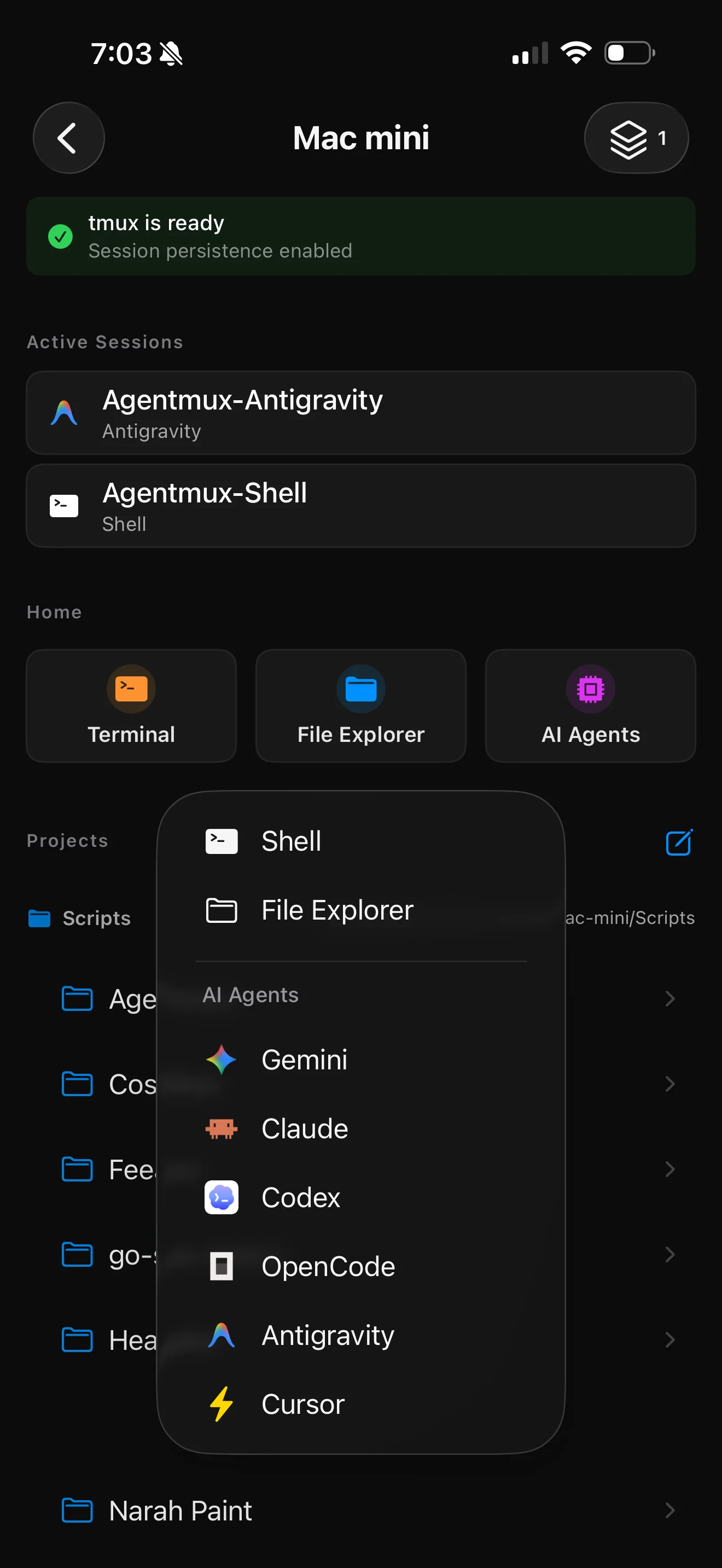 Agent launcher on iPhone